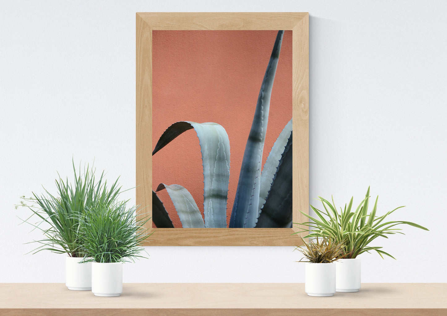 Cacti print on desk surrounded by potted plants.