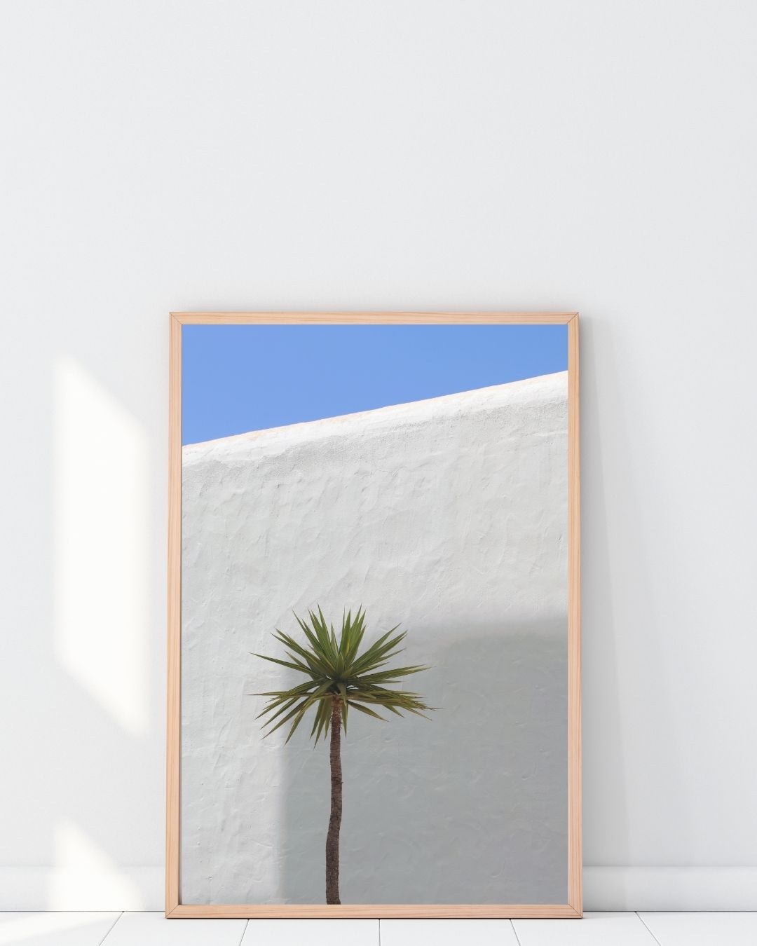 Palm On White Wall.