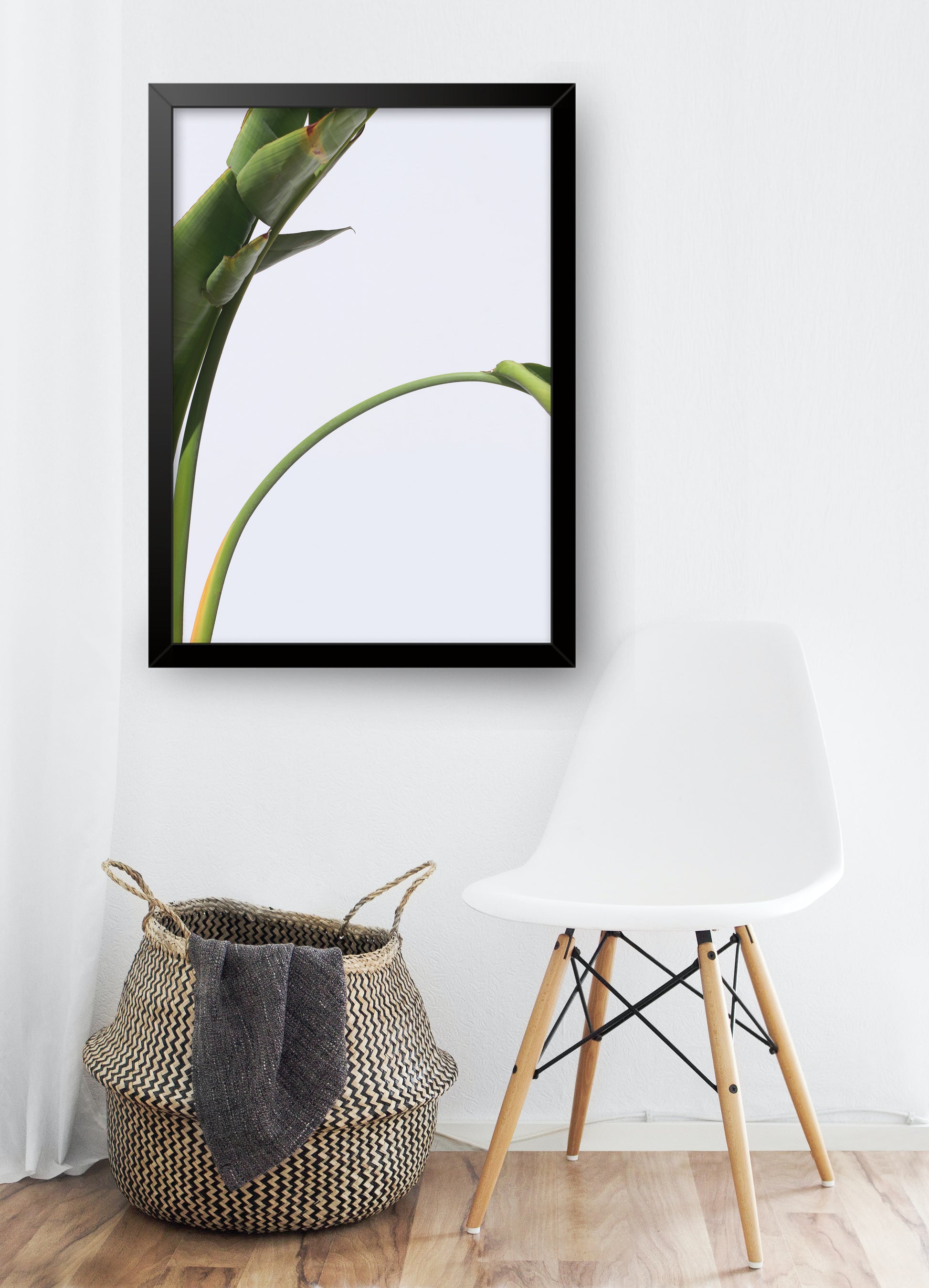 Photo of a banana leaf against a white wall shown in a home setting. Framed in a black frame 