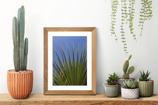 Tropical A5 Print